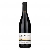 Graillot & Perez - Bierzo Tinto Encinas 2019